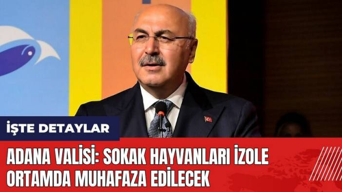 Adana Valisi: Sokak hayvanları izole ortamda muhafaza edilecek