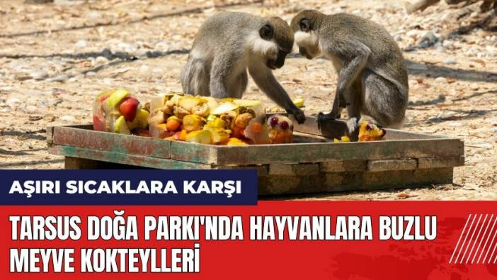 Tarsus Doğa Parkı'nda hayvanlara buzlu meyve kokteylleri