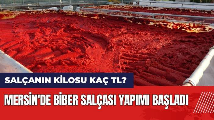 Mersin'de biber salçası yapımı başladı! Salçanın kilosu kaç TL?
