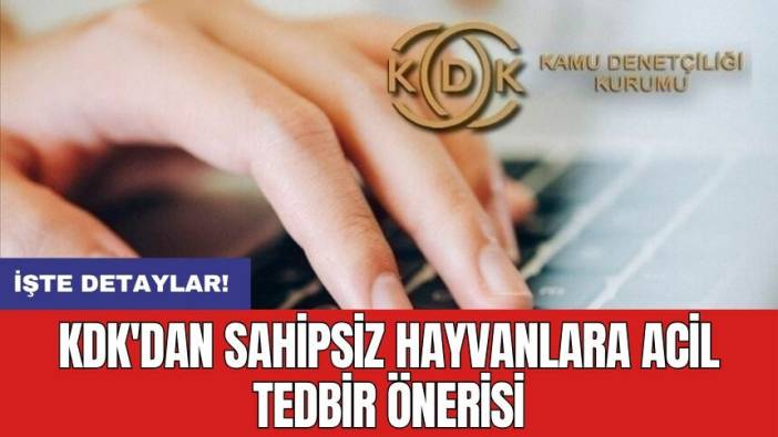 KDK'dan sahipsiz hayvanlara acil tedbir önerisi