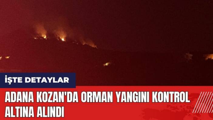 Adana Kozan'da orman yangını kontrol altına alındı