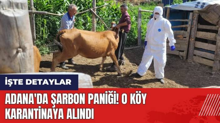 Adana'da şarbon paniği! O köy karantinaya alındı