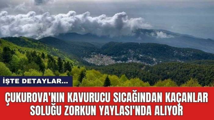 Çukurova'nın kavurucu sıcağından kaçanlar soluğu Zorkun Yaylası'nda alıyor