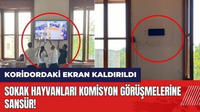 Sokak hayvanları komisyon görüşmelerine sansür! Koridordaki ekran kaldırıldı