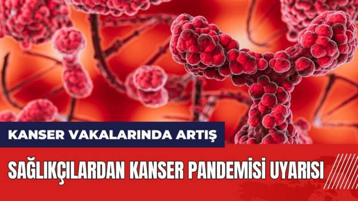 Sağlıkçılardan kanser pandemisi uyarısı