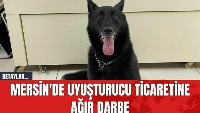 Mersin'de Uyuşturucu Ticaretine Ağır Darbe