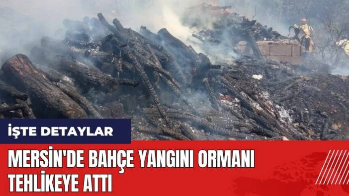 Mersin'de bahçe yangını ormanı tehlikeye attı