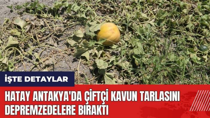 Hatay Antakya'da çiftçi kavun tarlasını depremzedelere bıraktı