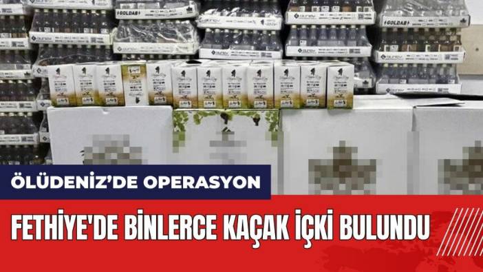 Fethiye'de binlerce kaçak içki bulundu