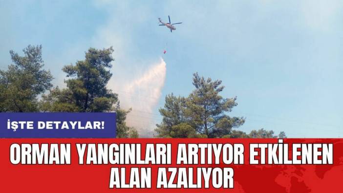 Orman yangınları artıyor etkilenen alan azalıyor