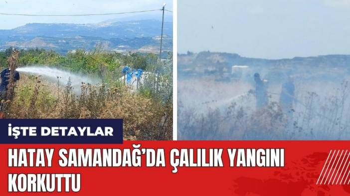 Hatay Samandağ’da çalılık yangını korkuttu