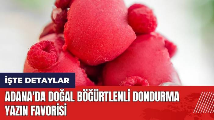 Adana'da doğal böğürtlenli dondurma yazın favorisi
