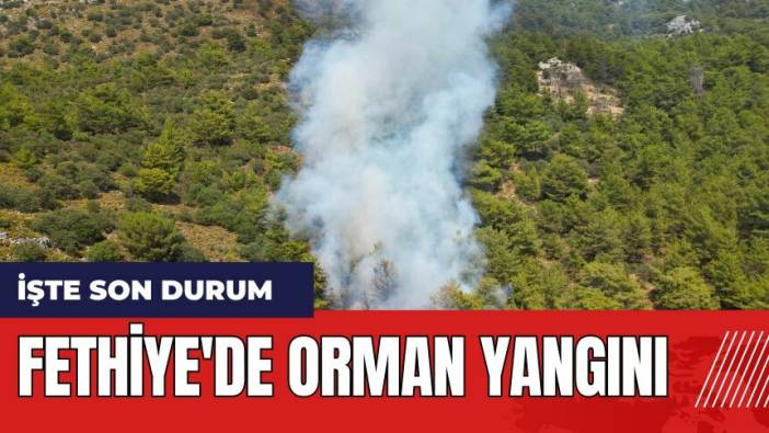 Fethiye'de orman yangını