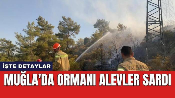 Muğla'da ormanı alevler sardı