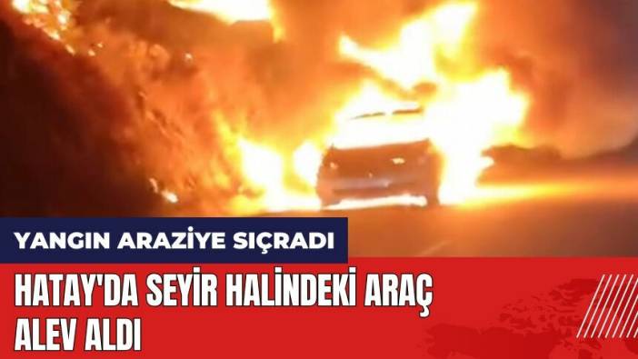 Hatay'da seyir halindeki araç alev aldı! Yangın araziye sıçradı