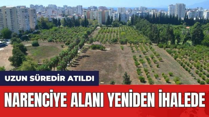 Narenciye Alanı Yeniden İhalede! Uzun Süredir Atıl Durumdaydı