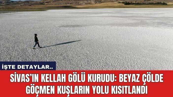 Sivas’ın Kellah Gölü Kurudu: Beyaz Çölde Göçmen Kuşların Yolu Kısıtlandı