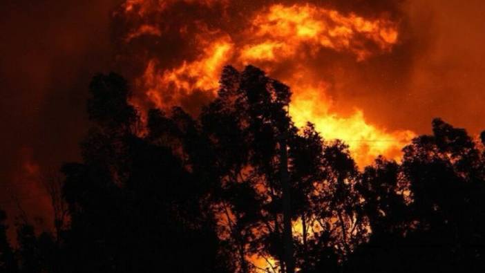 Türkiye’de 1 günde 72 yangın çıktı!