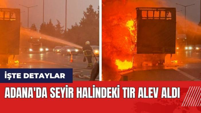 Adana'da seyir halindeki tır alev aldı