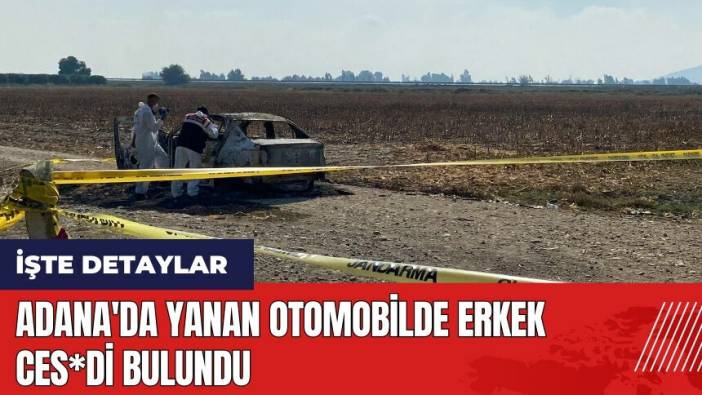 Adana'da yanan otomobilde erkek ces*di bulundu