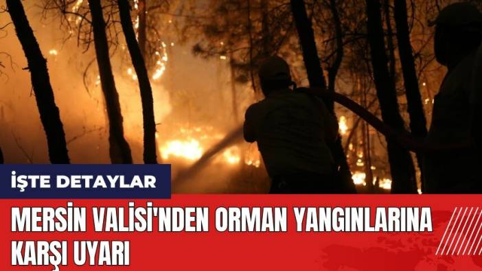 Mersin Valisi'nden orman yangınlarına karşı uyarı