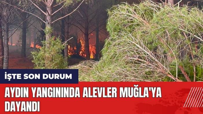 Aydın yangınında alevler Muğla'ya dayandı
