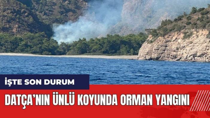 Datça'nın ünlü koyunda orman yangını