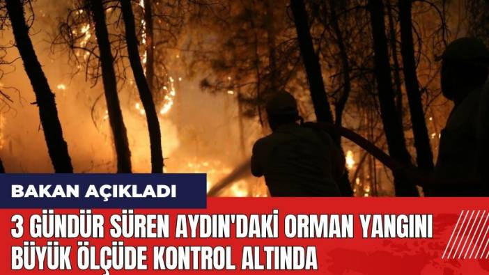 3 gündür süren Aydın'daki orman yangını büyük ölçüde kontrol altında!