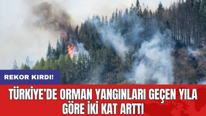 Türkiye’de orman yangınları geçen yıla göre iki kat arttı