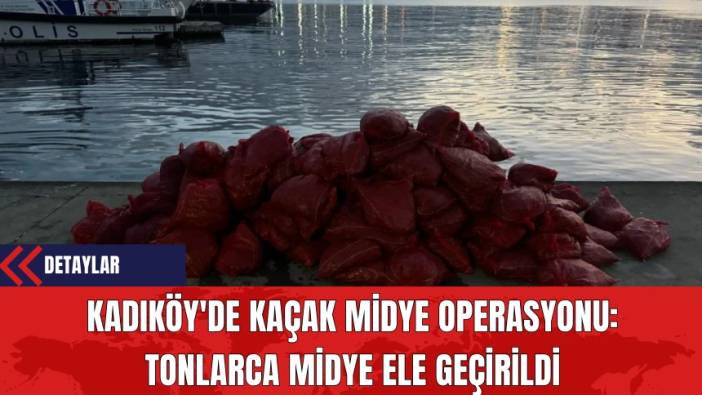 Kadıköy'de Kaçak Midye Operasyonu: Tonlarca Midye Ele Geçirildi