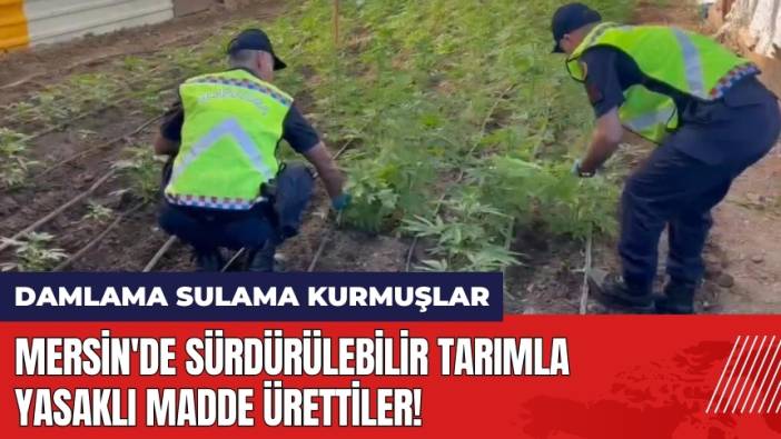 Mersin'de sürdürülebilir tarımla yasaklı madde ürettiler!