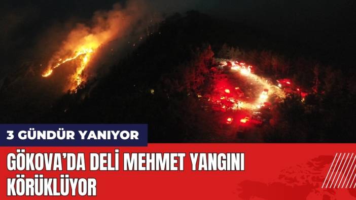 Gökova 3 Gündür Yanıyor! Deli Mehmet Yangını Körüklüyor