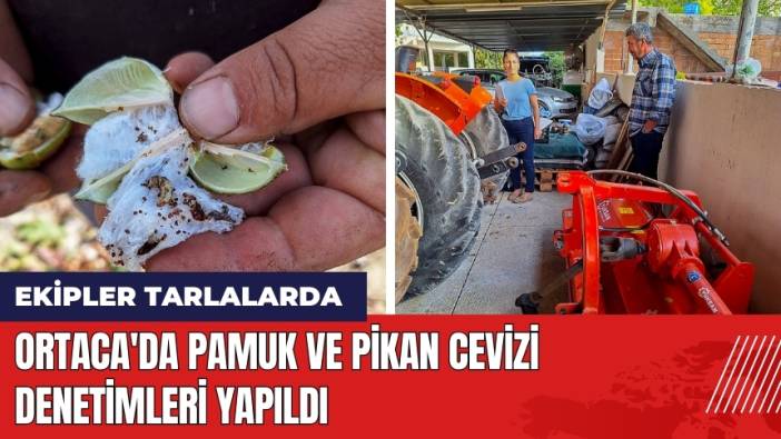 Ortaca'da Pamuk ve Pikan Cevizi Denetimleri Yapıldı