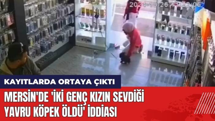 Mersin'de 'İki Genç Kızın Sevdiği Yavru Köpek Öldü' İddiası