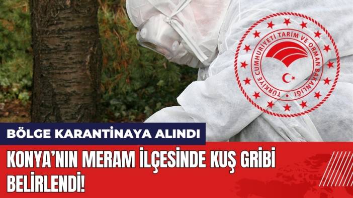 Konya’nın Meram İlçesinde Kuş Gribi Belirlendi! Bölge Karantinada