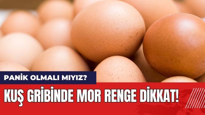 Uzmandan Kuş Gribi Uyarısı: Mor Renk Varsa Dikkat!
