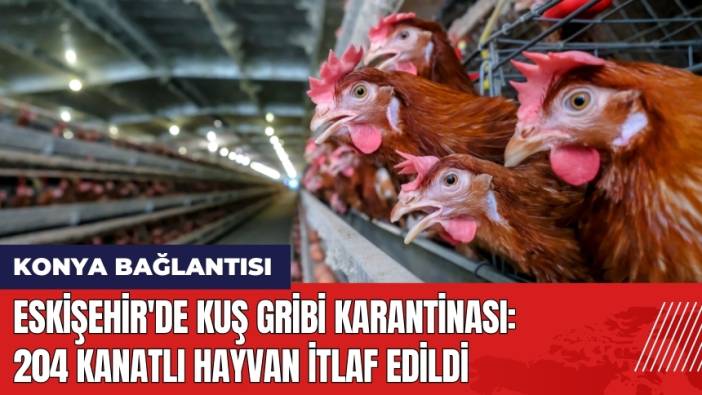Eskişehir'de Kuş Gribi Karantinası: 204 Kanatlı Hayvan İtlaf Edildi