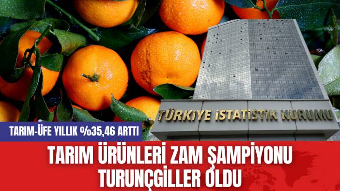 Tarım Ürünleri Zam Şampiyonu Turunçgiller Oldu