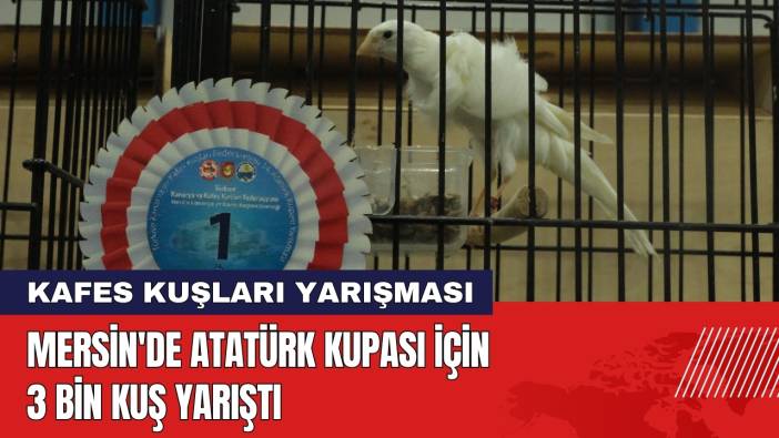 Mersin'de Atatürk Kupası İçin 3 Bin Kuş Yarıştı