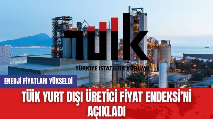 TÜİK Yurt Dışı Üretici Fiyat Endeksi’ni Açıkladı