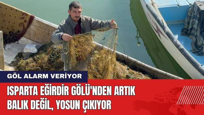 Isparta Eğirdir Gölü'nden Artık Balık Değil Yosun Çıkıyor