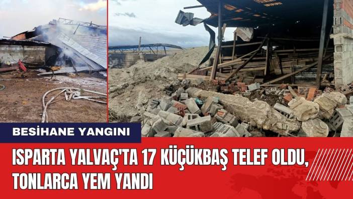 Isparta Yalvaç'ta Besihane Yandı: 17 Küçükbaş Telef Oldu Tonlarca Yem Yandı