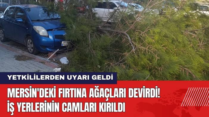 Mersin'deki Fırtına Ağaçları Devirdi! İş Yerlerinin Camları Kırıldı