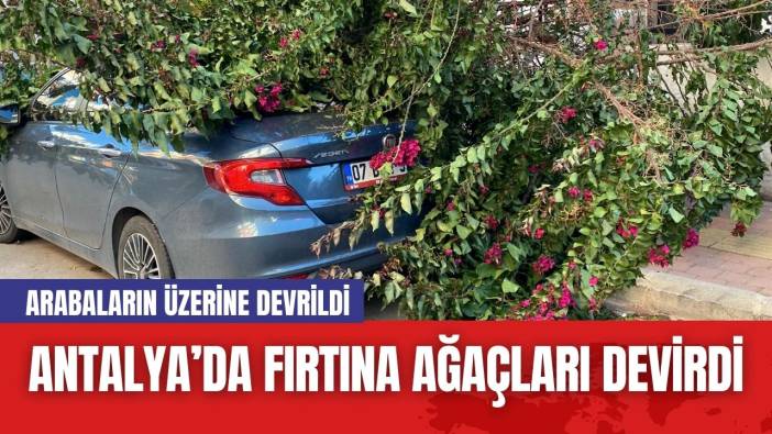 Antalya’da Fırtına Ağaçları Devirdi