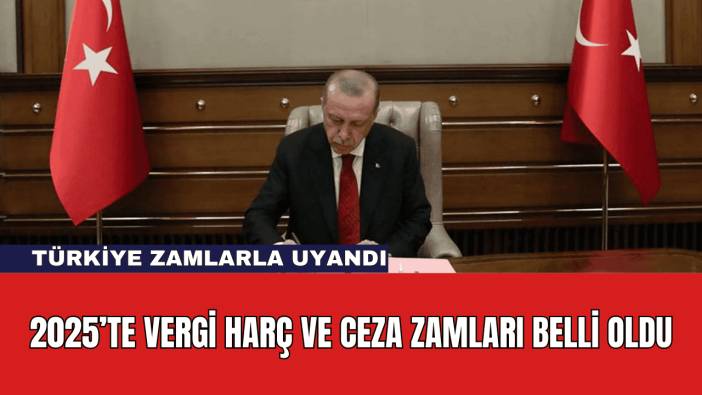 2025’te Vergi Harç ve Ceza Zamları Belli Oldu
