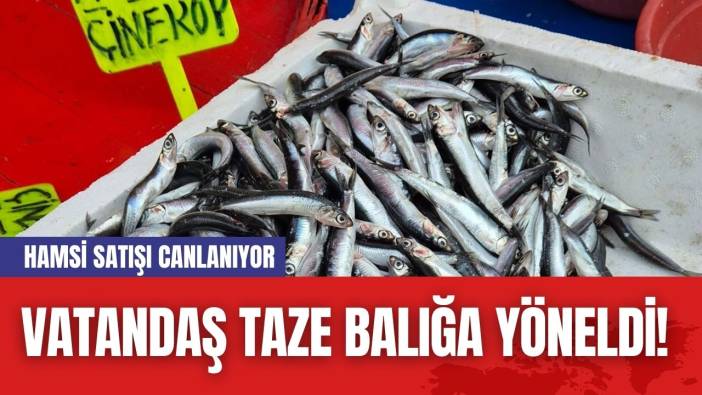 Vatandaş Taze Balığa Yöneldi! Hamsi Satışı Canlanıyor