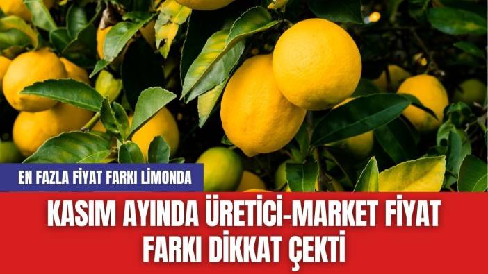 Kasım Ayında Üretici-Market Fiyat Farkı Dikkat Çekti: En Fazla Fiyat Farkı Limonda