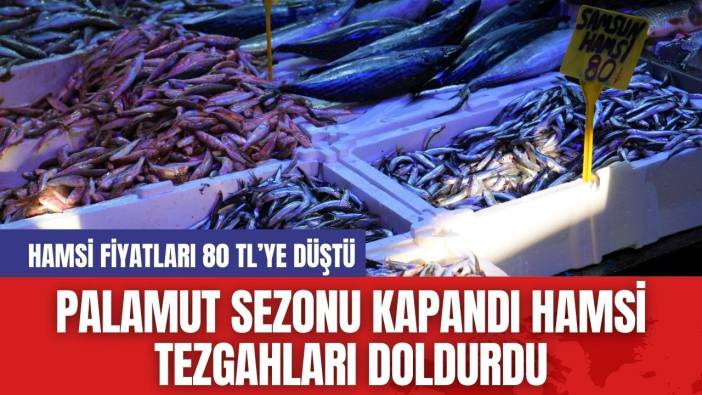 Palamut Sezonu Kapandı Hamsi Tezgahları Doldurdu