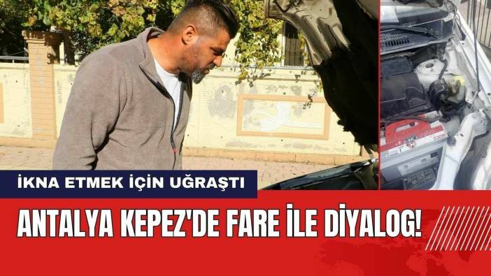 Antalya Kepez'de Fare İle Diyalog! İkna Etmek İçin Uğraştı