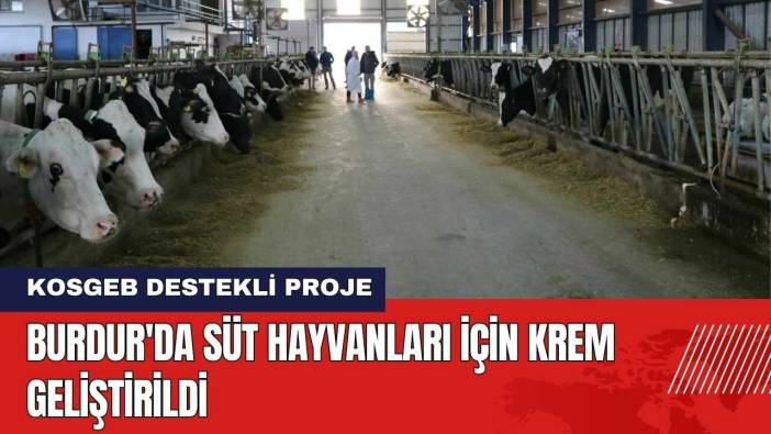 Burdur MAKÜ'de Süt Hayvanları İçin Krem Geliştirildi